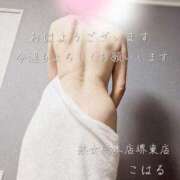 ヒメ日記 2025/06/16 11:04 投稿 こはる 熟女総本店 堺東店