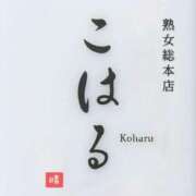 ヒメ日記 2025/06/17 10:56 投稿 こはる 熟女総本店 堺東店