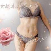 ヒメ日記 2025/06/20 08:30 投稿 こはる 熟女総本店 堺東店