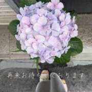 ヒメ日記 2025/06/24 10:26 投稿 こはる 熟女総本店 堺東店