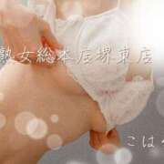 ヒメ日記 2025/07/08 08:30 投稿 こはる 熟女総本店 堺東店