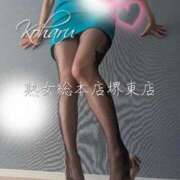 ヒメ日記 2025/07/09 12:01 投稿 こはる 熟女総本店 堺東店