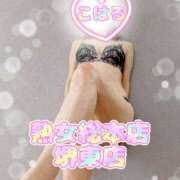 ヒメ日記 2025/07/11 08:30 投稿 こはる 熟女総本店 堺東店