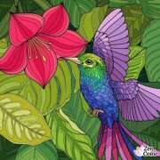 ヒメ日記 2025/07/13 14:18 投稿 こはる 熟女総本店 堺東店