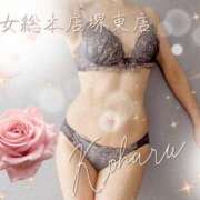 ヒメ日記 2025/07/28 07:01 投稿 こはる 熟女総本店 堺東店