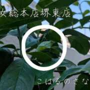 ヒメ日記 2025/08/03 03:35 投稿 こはる 熟女総本店 堺東店