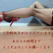 ヒメ日記 2025/08/11 11:38 投稿 こはる 熟女総本店 堺東店