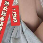 ヒメ日記 2025/09/14 21:55 投稿 こはる 熟女総本店 堺東店