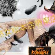 ヒメ日記 2025/10/03 18:57 投稿 こはる 熟女総本店 堺東店