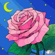 ヒメ日記 2025/10/05 03:14 投稿 こはる 熟女総本店 堺東店