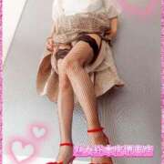 ヒメ日記 2025/11/08 16:54 投稿 こはる 熟女総本店 堺東店