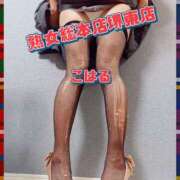 ヒメ日記 2025/11/11 17:01 投稿 こはる 熟女総本店 堺東店