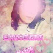 ヒメ日記 2026/01/24 19:13 投稿 こはる 熟女総本店 堺東店