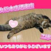 ヒメ日記 2026/02/01 12:16 投稿 こはる 熟女総本店 堺東店