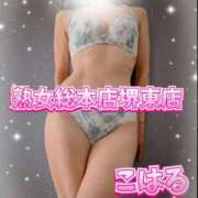 ヒメ日記 2026/02/14 00:11 投稿 こはる 熟女総本店 堺東店