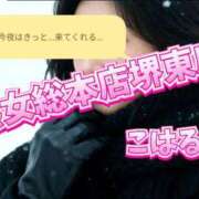 ヒメ日記 2026/02/17 16:13 投稿 こはる 熟女総本店 堺東店