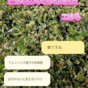 ヒメ日記 2026/03/17 10:04 投稿 こはる 熟女総本店 堺東店