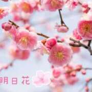 ヒメ日記 2026/03/05 21:05 投稿 明日花 人妻楼 木更津店