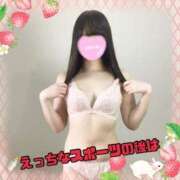 ヒメ日記 2023/12/14 00:16 投稿 すみれ♡極上SPコース♡ PANTHER（パンサー）