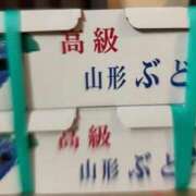 ヒメ日記 2024/09/16 06:55 投稿 はなの　奥様 SUTEKIな奥様は好きですか?