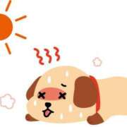 ヒメ日記 2025/08/06 10:35 投稿 かな 素人系イメージSOAP彼女感大宮館