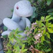 ヒメ日記 2025/03/12 08:01 投稿 新山奈々 プレジデントハウス