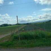 ヒメ日記 2025/08/07 18:15 投稿 ころね『ぽっちゃりコース』 素人学園＠