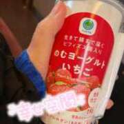 ヒメ日記 2025/03/14 16:34 投稿 いちか チューリップ福井別館