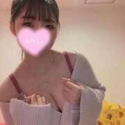 ヒメ日記 2025/04/14 16:46 投稿 いちか チューリップ福井別館