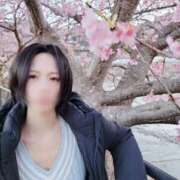 ヒメ日記 2026/02/20 09:55 投稿 Yuuki PROPORTION