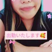 ヒメ日記 2025/11/12 10:41 投稿 西【にし】 丸妻 西船橋店