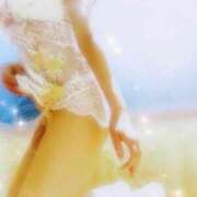 ヒメ日記 2025/04/02 09:42 投稿 藤咲まひろ Matriarch(マトリアルカ)