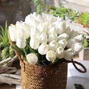 藤咲まひろ ありがとうございました Matriarch(マトリアルカ)