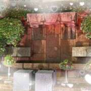 ヒメ日記 2026/01/28 09:56 投稿 赤井志保 五十路マダム 浜松店(カサブランカグループ)