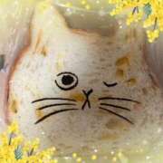 ヒメ日記 2026/04/01 09:58 投稿 赤井志保 五十路マダム 浜松店(カサブランカグループ)