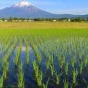 ヒメ日記 2024/06/05 05:40 投稿 さち 人妻小旅行