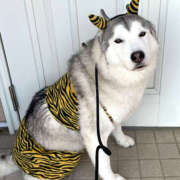 ヒメ日記 2025/02/03 00:50 投稿 なお ファンタジー福島店～福島でデリヘルもメンズエステも楽しめる素敵なお店～