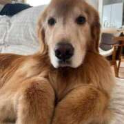 ヒメ日記 2025/02/04 08:50 投稿 なお ファンタジー福島店～福島でデリヘルもメンズエステも楽しめる素敵なお店～