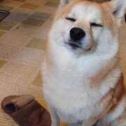 ヒメ日記 2025/02/15 15:20 投稿 なお ファンタジー福島店～福島でデリヘルもメンズエステも楽しめる素敵なお店～