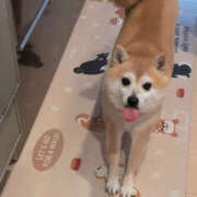 ヒメ日記 2025/02/17 09:40 投稿 なお ファンタジー福島店～福島でデリヘルもメンズエステも楽しめる素敵なお店～