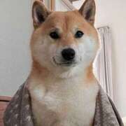 ヒメ日記 2025/02/21 07:00 投稿 なお ファンタジー福島店～福島でデリヘルもメンズエステも楽しめる素敵なお店～