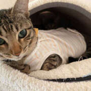 ヒメ日記 2025/02/24 12:30 投稿 なお ファンタジー福島店～福島でデリヘルもメンズエステも楽しめる素敵なお店～