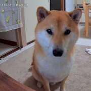 ヒメ日記 2025/02/25 20:10 投稿 なお ファンタジー福島店～福島でデリヘルもメンズエステも楽しめる素敵なお店～