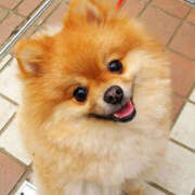 ヒメ日記 2025/03/07 09:00 投稿 なお ファンタジー福島店～福島でデリヘルもメンズエステも楽しめる素敵なお店～