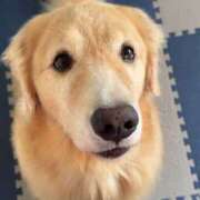 ヒメ日記 2025/03/08 13:40 投稿 なお ファンタジー福島店～福島でデリヘルもメンズエステも楽しめる素敵なお店～