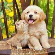 ヒメ日記 2025/03/13 06:40 投稿 なお ファンタジー福島店～福島でデリヘルもメンズエステも楽しめる素敵なお店～