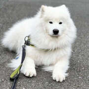 ヒメ日記 2025/03/14 19:30 投稿 なお ファンタジー福島店～福島でデリヘルもメンズエステも楽しめる素敵なお店～