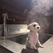 ヒメ日記 2025/03/17 07:40 投稿 なお ファンタジー福島店～福島でデリヘルもメンズエステも楽しめる素敵なお店～