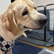 ヒメ日記 2025/03/24 08:10 投稿 なお ファンタジー福島店～福島でデリヘルもメンズエステも楽しめる素敵なお店～