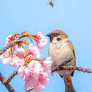 ヒメ日記 2025/03/28 08:50 投稿 なお ファンタジー福島店～福島でデリヘルもメンズエステも楽しめる素敵なお店～